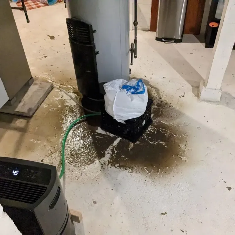 Sewage Backup Cleanup Service in Bovina, TX
